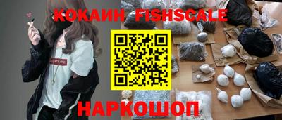 индика Пенза