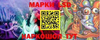 индика Пенза