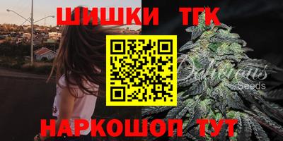 индика Пенза