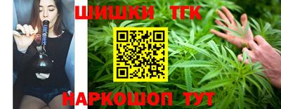 индика Пенза