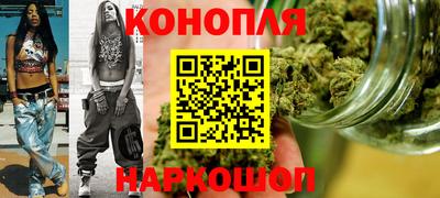 индика Пенза