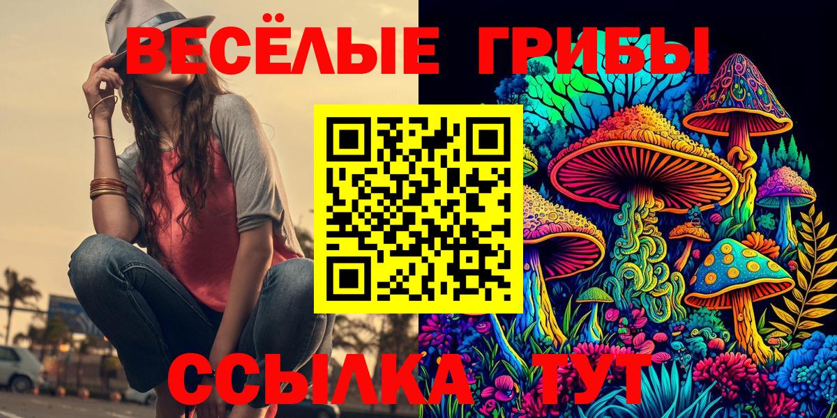 Псилоцибиновые грибы Psilocybe  Галлюциногенные грибы Magic Shrooms  Вход с VPN  Норильск 
