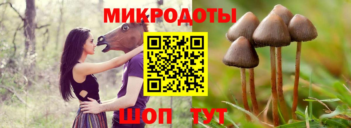 Галлюциногенные грибы GOLDEN TEACHER Норильск